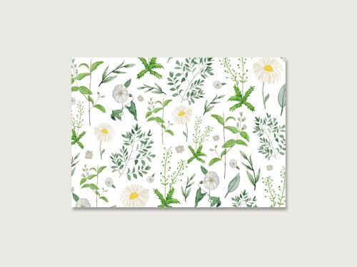Postkarte | Weiß | Blumen | Collage | Rose | Muster | Blüten | Aquarell | Wasserfarbe | Illustration | Natur