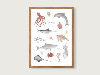 Affiche "Dans la mer" - animaux marins 3