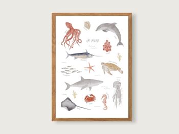 Affiche "Dans la mer" - animaux marins 4