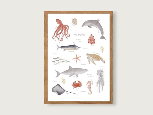 animals Poster the \