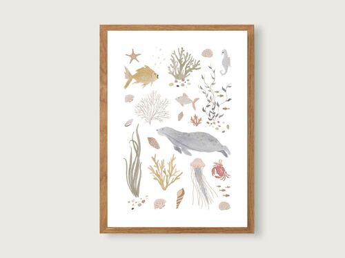 Poster "Sealife" A4