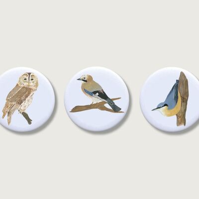 Magnets set of 3 "Birds" | magnet for kids | girl | birds | bird | Children's room decoration | gift | Fridge | sparrow
