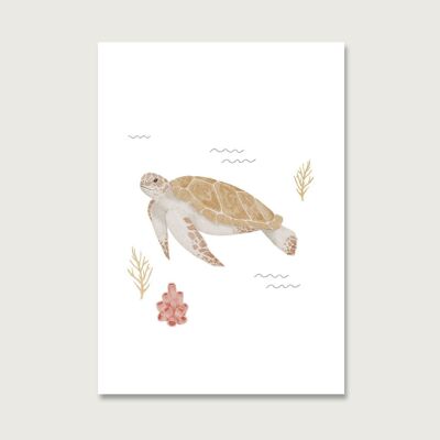 Carte postale "Tortue" | enfants | Invitation | Invitation d'anniversaire | les gars | crics | Anniversaire d'enfants | illustration