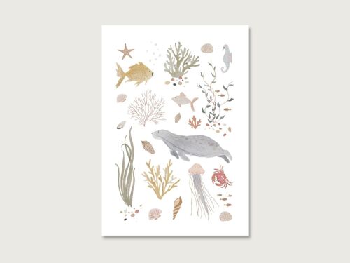 Postkarte "Sealife"