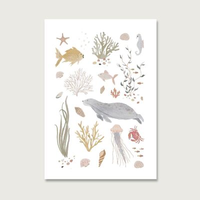 Carte postale "La vie marine"