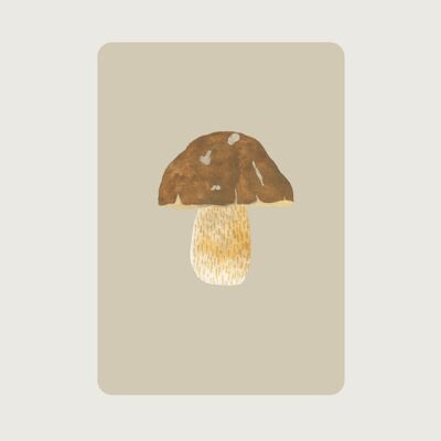 Porcini | Mushroom