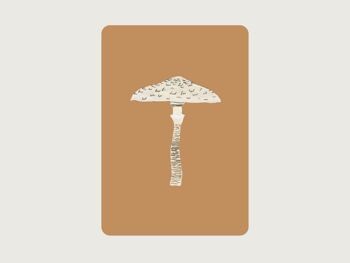 Parasol | Champignon 3