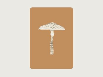 Parasol | Champignon 4