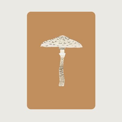 Parasol | Mushroom