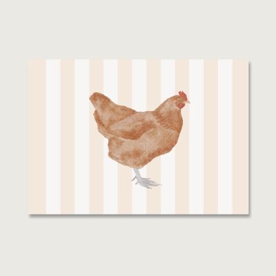 Postcard "Chicken"