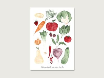 Carte postale | fruits du jardin 2