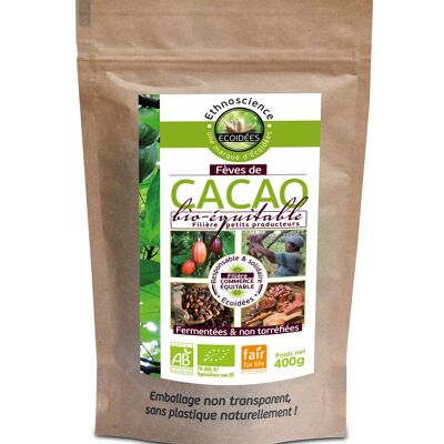 Granos de cacao crudos enteros orgánicos y de comercio justo-400