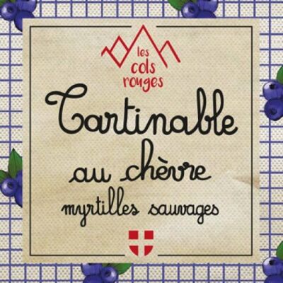 Tartinable au chèvre myrtilles