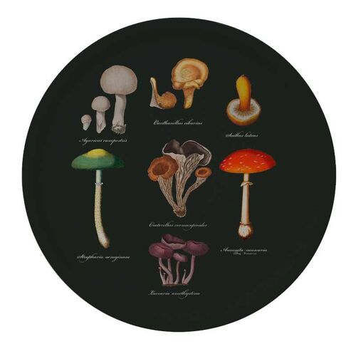 Serving tray Ø38 - Mushrooms