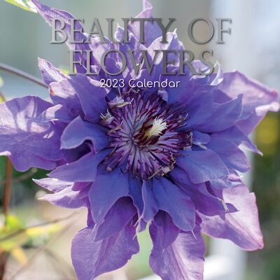 Calendar 2023 Beauty of flowers