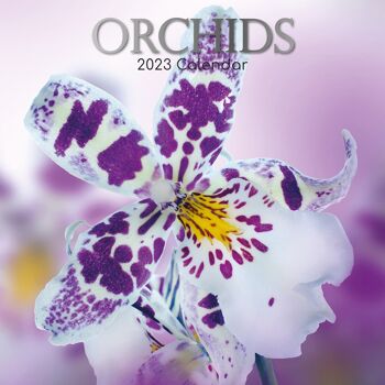 Calendrier 2023 Orchidée 1