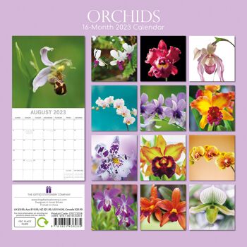 Calendrier 2023 Orchidée 2