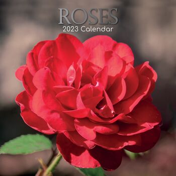 Calendrier 2023 Rose 1