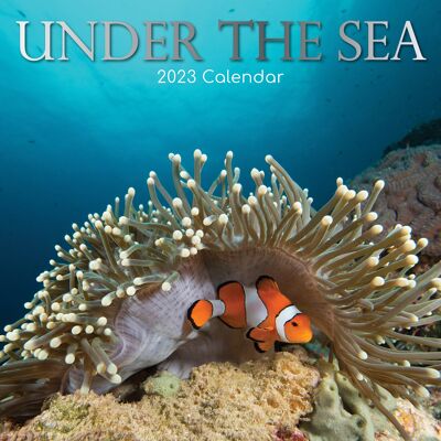 Calendar 2023 Underwater life