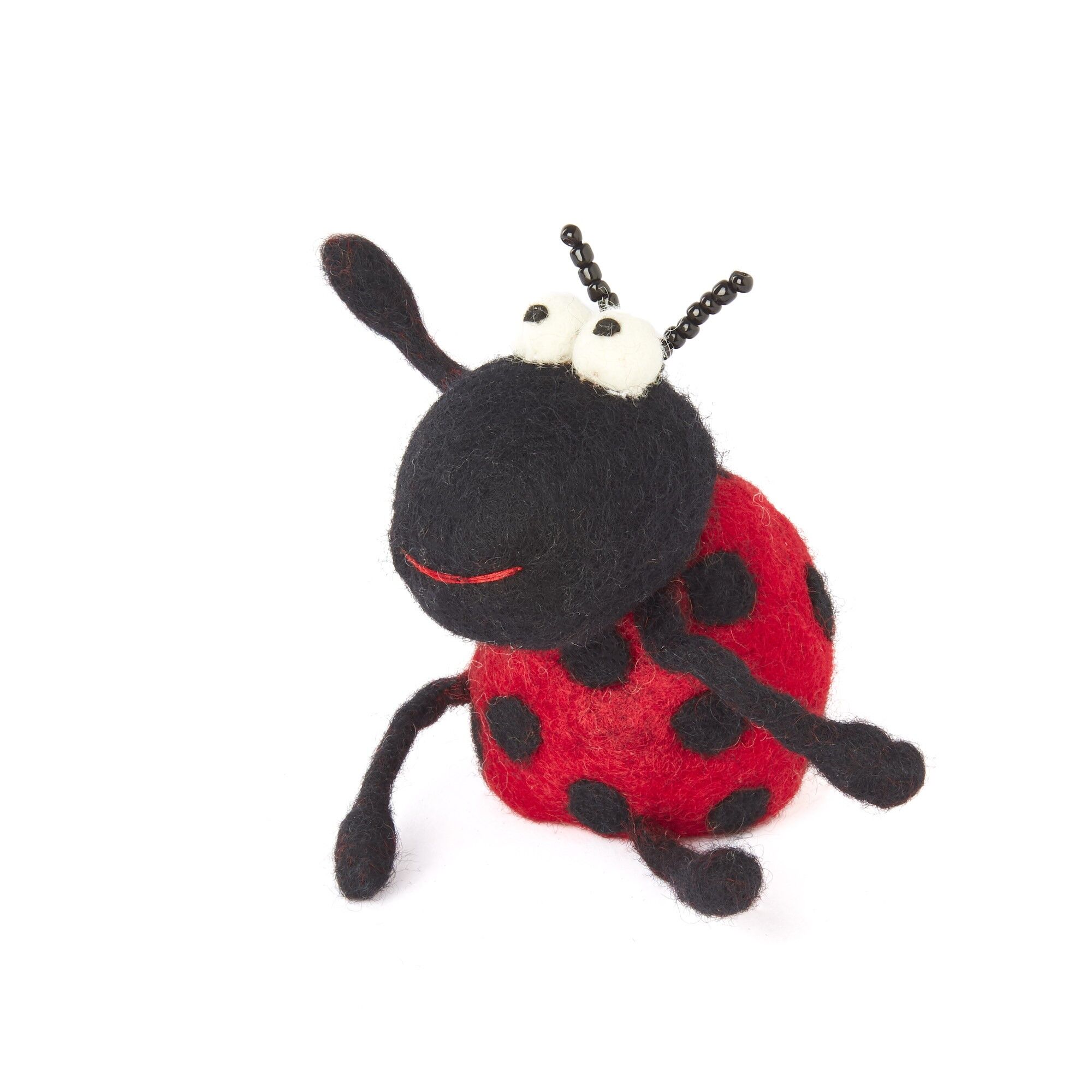 Uovo di coccinella accogliente