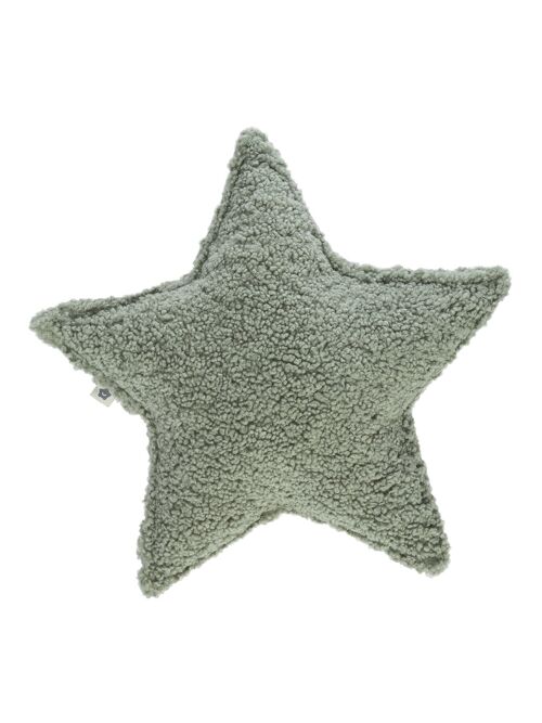 Eucalyptus Green Star Cushion