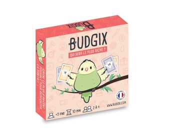 Budgix 1