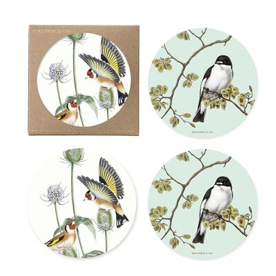 Posavasos - Pájaros de jardín - Pack de 4