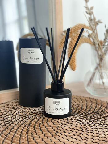 Diffuseur de parfum d'intérieur - Cuir Nordique 2