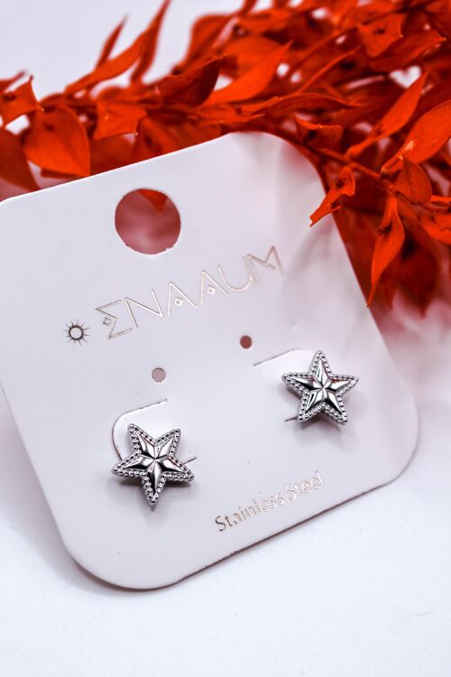 Boucles d'oreilles "A star is born" Acier inoxydable