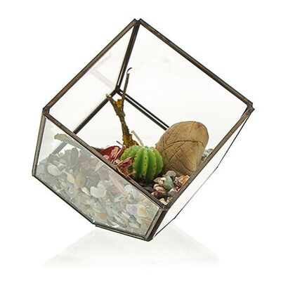Terrarium en verre - Cube en coin (10.5x10.5x10.5cm)