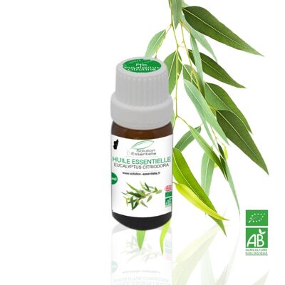 Huile Essentielle BIO d'Eucalyptus Citronné - 10ml