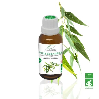 Huile Essentielle BIO d'Eucalyptus Citronné - 50ml