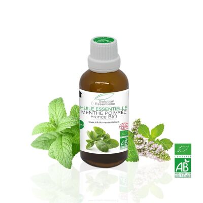 Huile Essentielle BIO de menthe poivré Origine France - 50ml