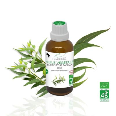 Huile Essentielle Bio eucalyptus radiata - 50ml