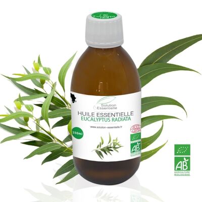 Huile Essentielle Bio eucalyptus radiata - 250ml