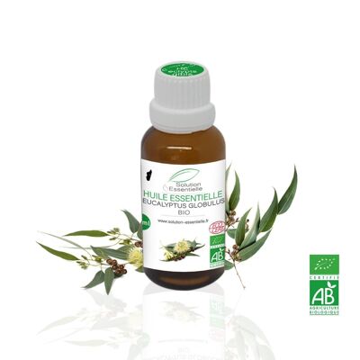 Huile Essentielle Bio eucalyptus globulus - 30ml