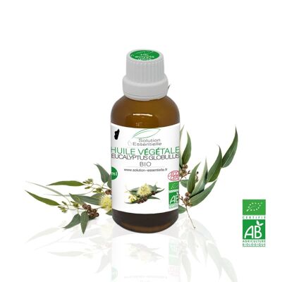 Huile Essentielle Bio eucalyptus globulus - 50ml