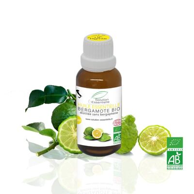 Huile Essentielle BIO de bergamote - 30ml