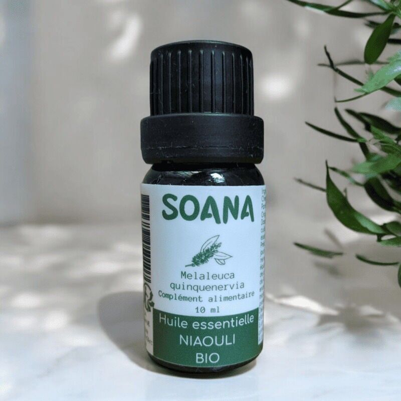 Olio essenziale di niaouli bio 10 ml