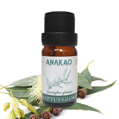 Globulous Eucalyptus essential oil - 10 ml