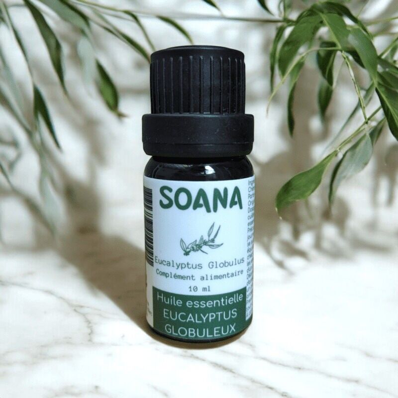 Eucalyptus Globulus Essential Oil - 10 ml