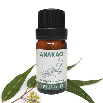 Organic lemon eucalyptus essential oil - 10 ml