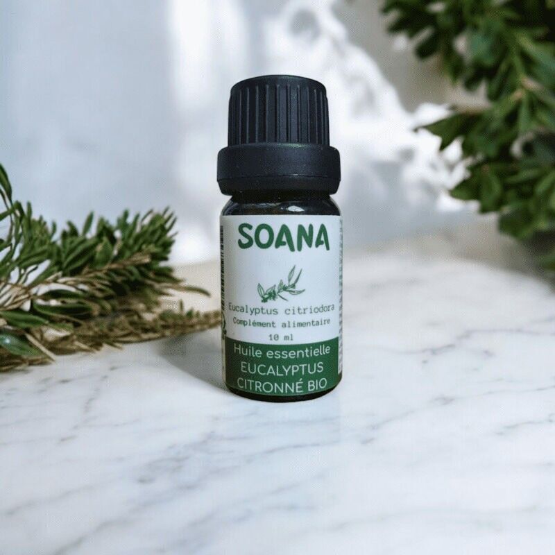 Olio essenziale di eucalipto limone biologico - 10 ml