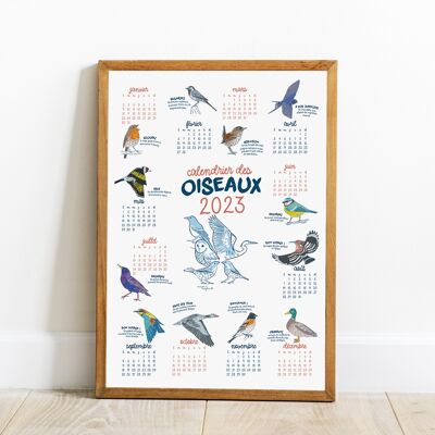 Calendrier des oiseaux 2023