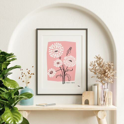 Affiche fleur rose