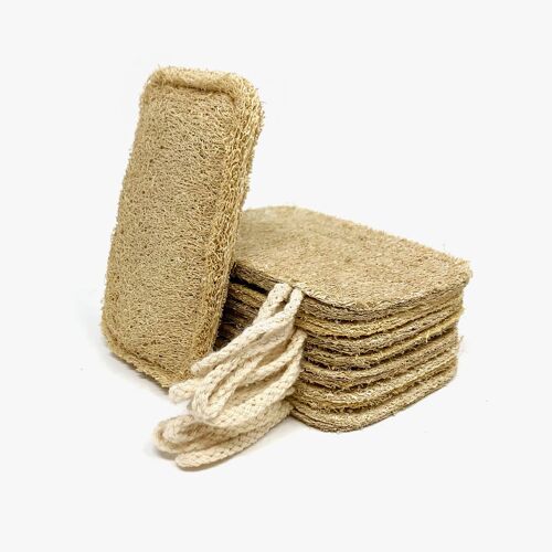 Eco Biodegradable Dish Sponge - Pack of 8