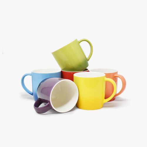 Set of 6 Coloured Coffee Mugs