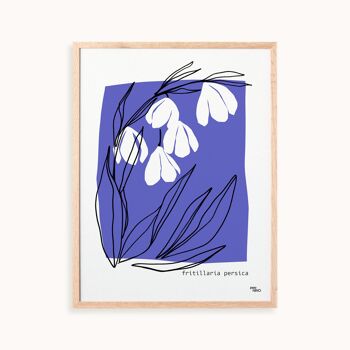 Affiche Fleur Bleu 4