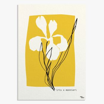 Affiche Fleur jaune 2