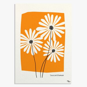 Affiche Fleur orange 3